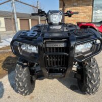 2026 Honda Rubicon 520 DCT Deluxe